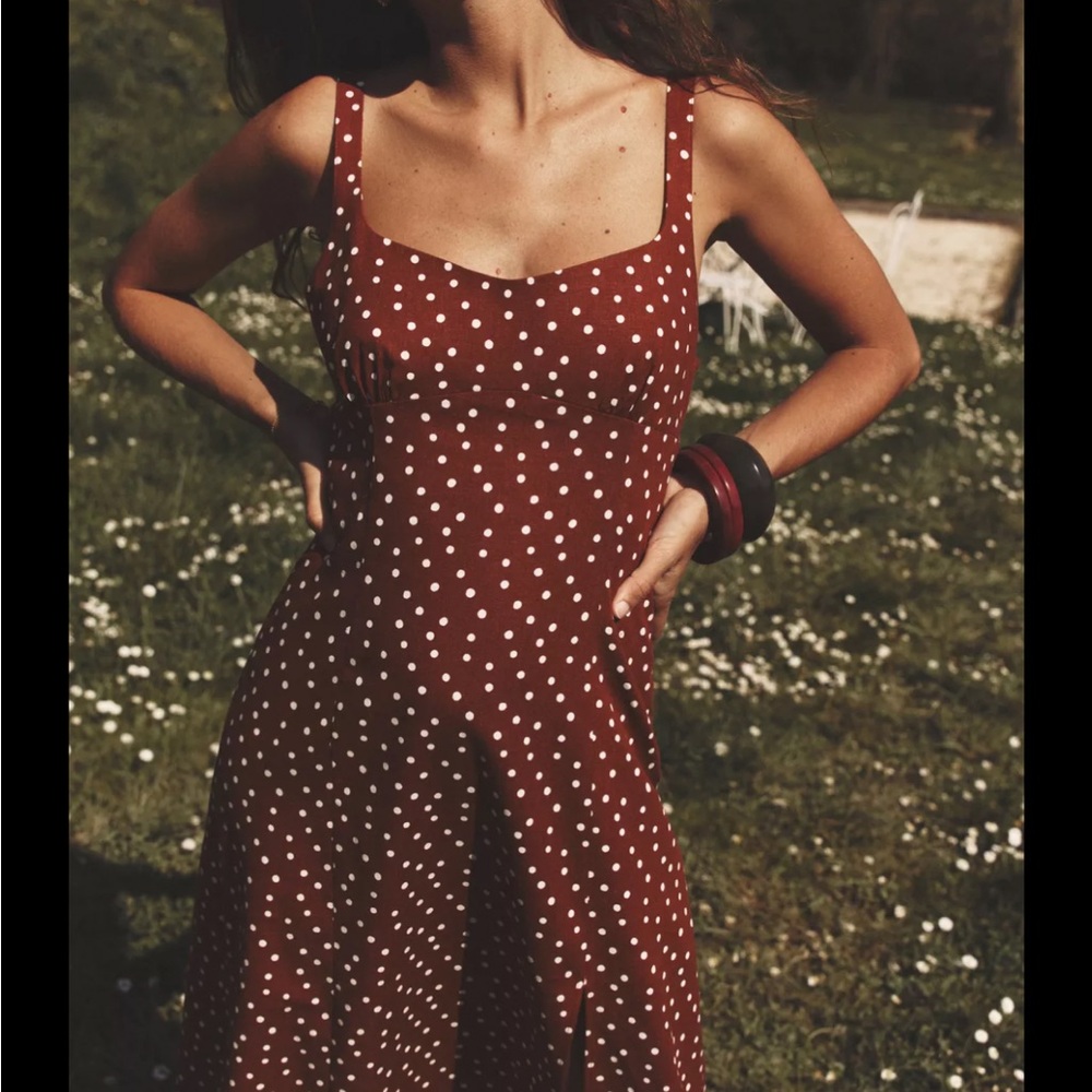 Zara Brown Polka Dot Midi Dress